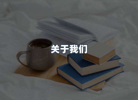 专业团队